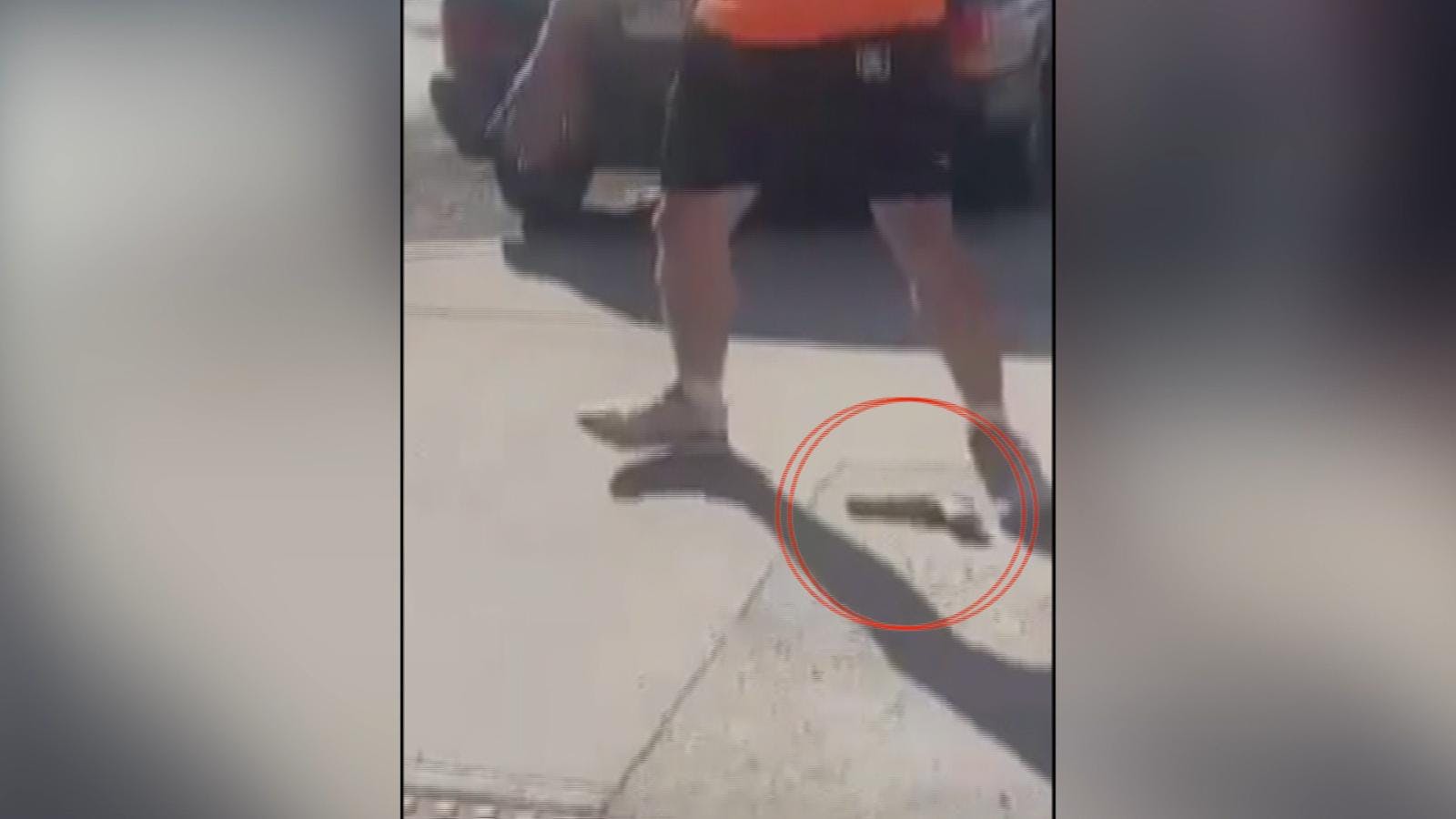 Dos detenidos en riña en la vía pública cercana a colegio