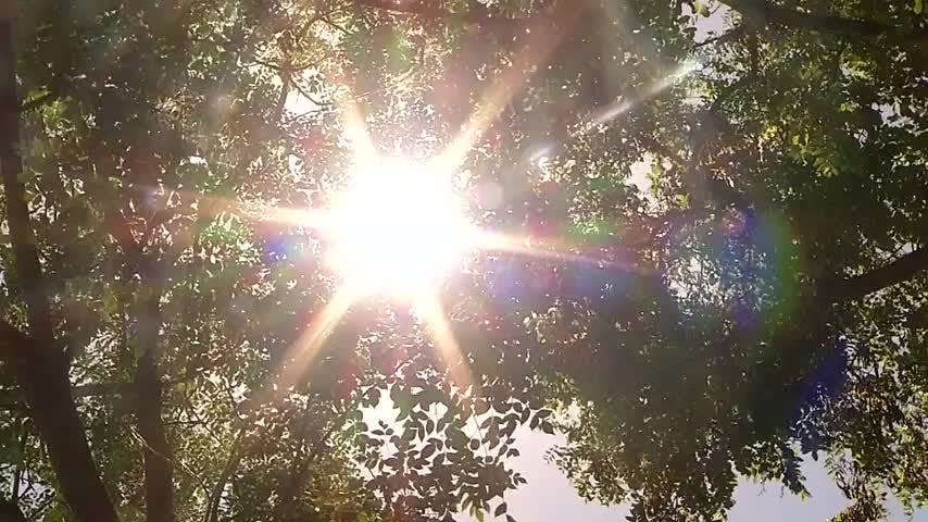 Preparan estrategia de Hidrógeno verde para el Biobío