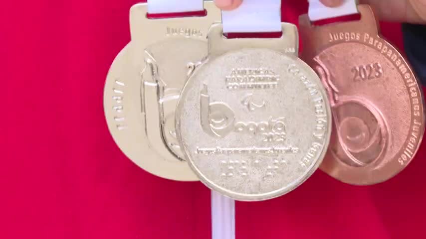 Exitosa participación de Team Chile en Parapanamericanos