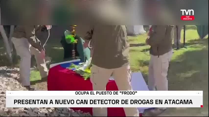 REEMPLAZA A FRODO