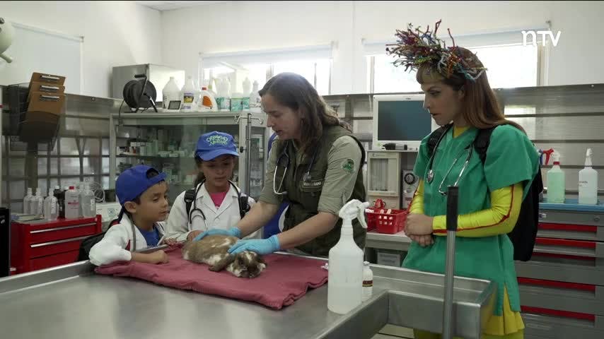 Veterinarios | Despertando las neuronas, la serie - T1E7
