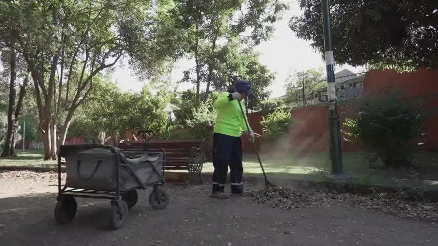 Jardinera | Despertando las neuronas, la serie - T1E11