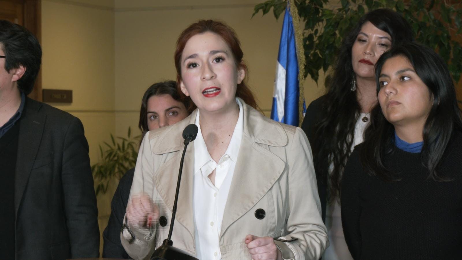 Diputada Catalina Pérez suspende su vicepresidencia en la cámara baja