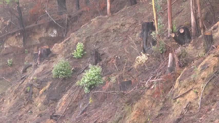 Advierten posibles remociones en masa en áreas cordilleranas