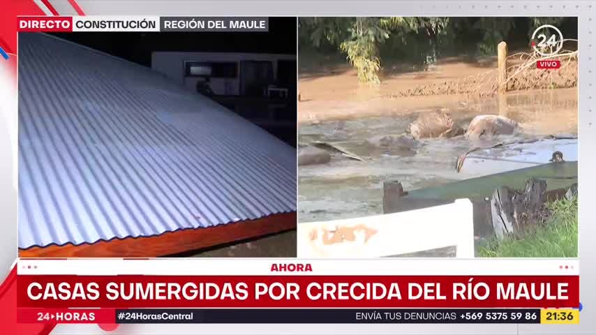 Casas sumergidas por crecida del río Maule