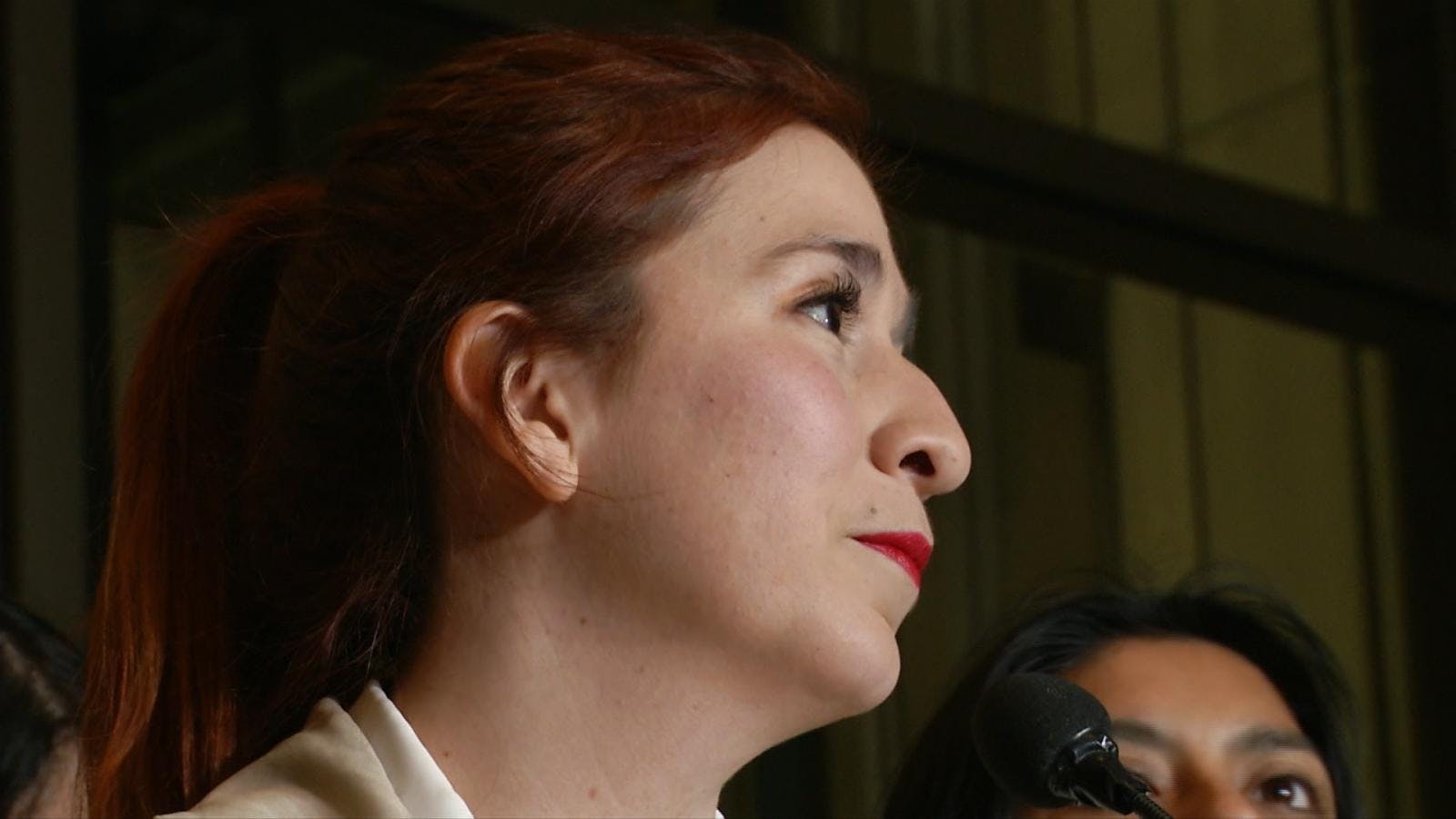 Diputada Catalina Pérez presentó licencia médica