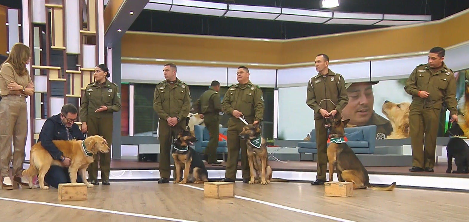 ¡Todos unos héroes! Celebramos los 67 años del Grupo de Adiestramiento Canino
