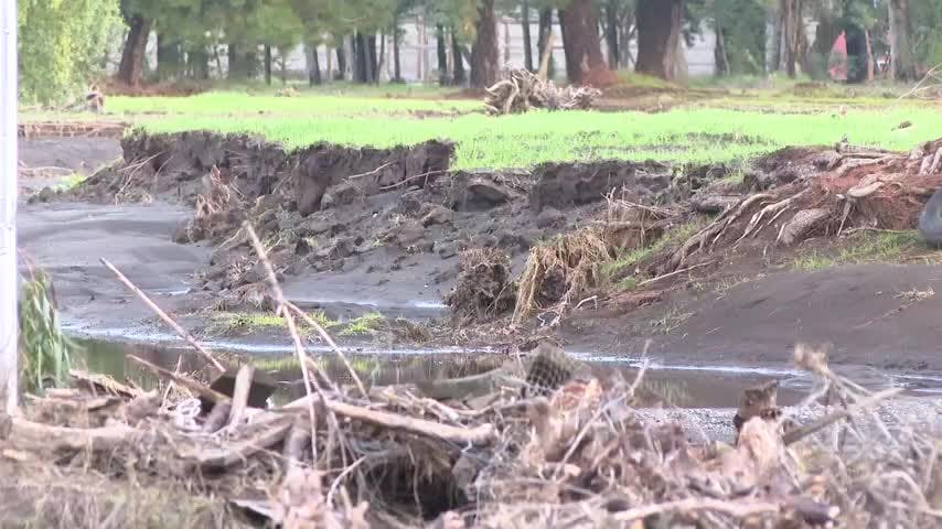 Parte entrega de alimento para animales tras inundaciones