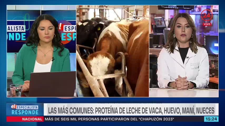 El Especialista responde: Lo que debemos saber sobre las alergias alimentarias