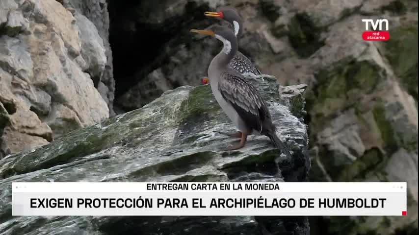 ARCHIPIÉLAGO DE HUMBOLDT