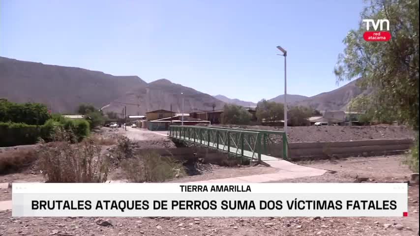 Ataques de perros suma dos víctimas fatales