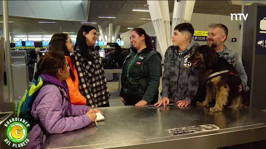 Guardianes del Planeta Capítulo 15: Ayudan a hurona y requisitos para que mascotas viajen en avión