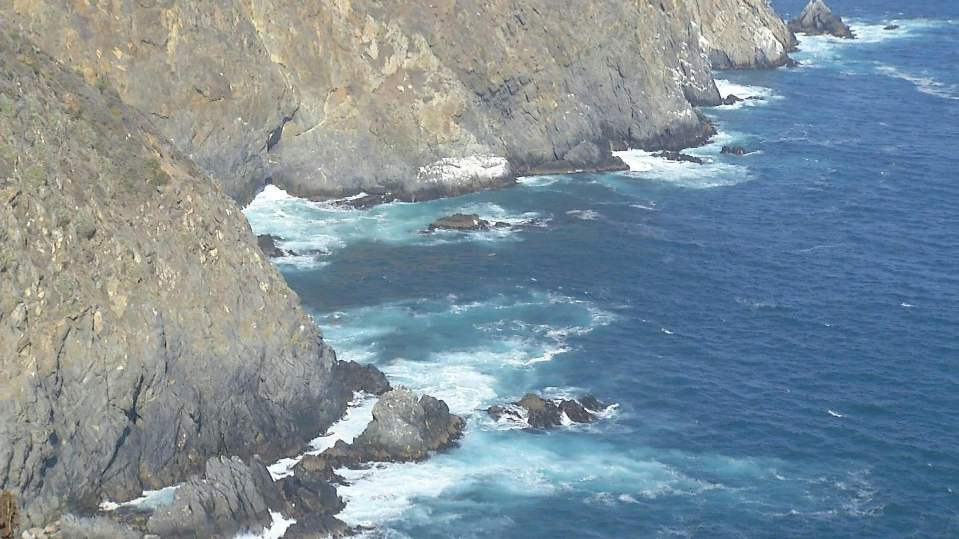 Estudio revela presencia de altas concentraciones de coliformes en Planta Loma Larga