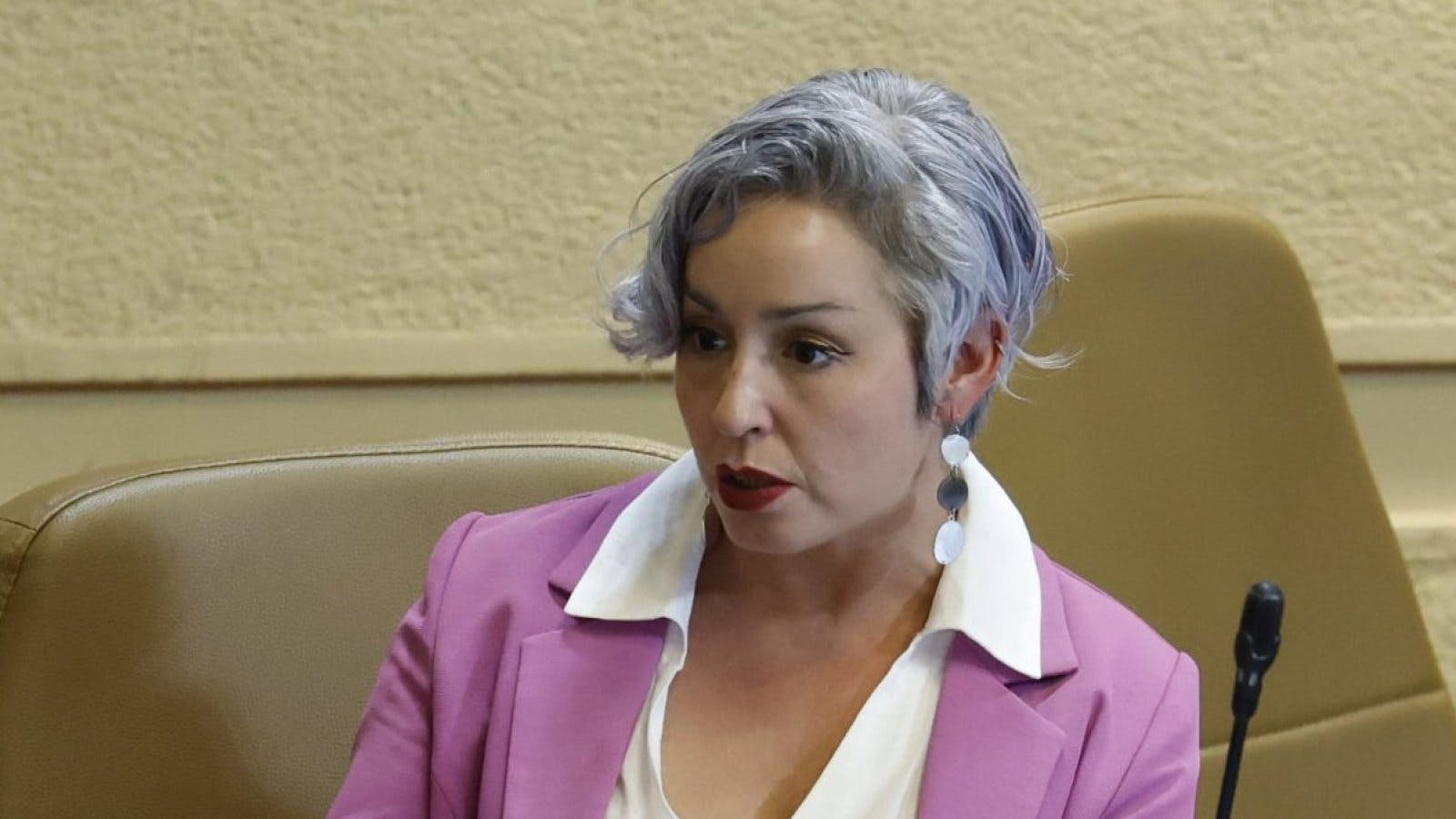 Diputada Placencia por ley de delitos económicos: Es una necesidad para el país