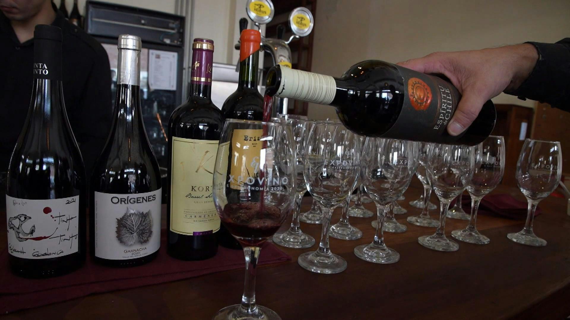 Expovinos y Gastronomía