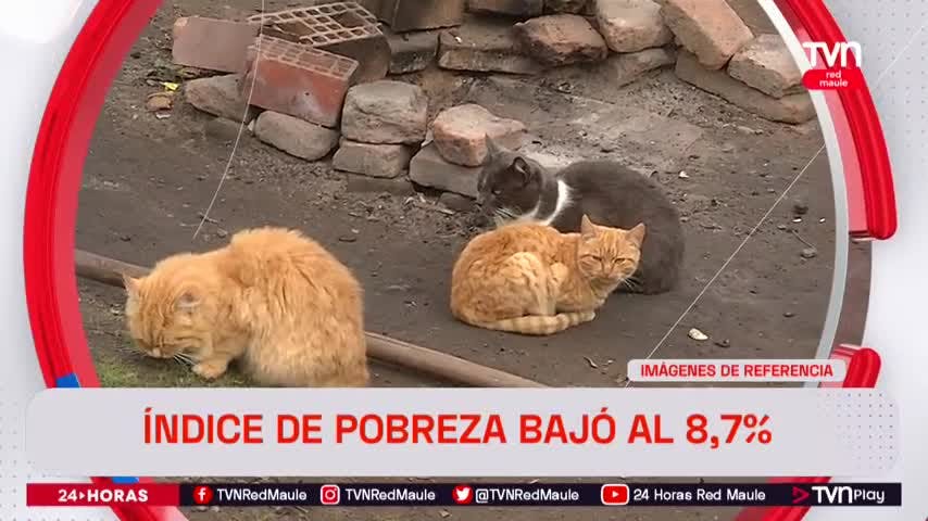 Índice de pobreza bajó a 8,7 por ciento