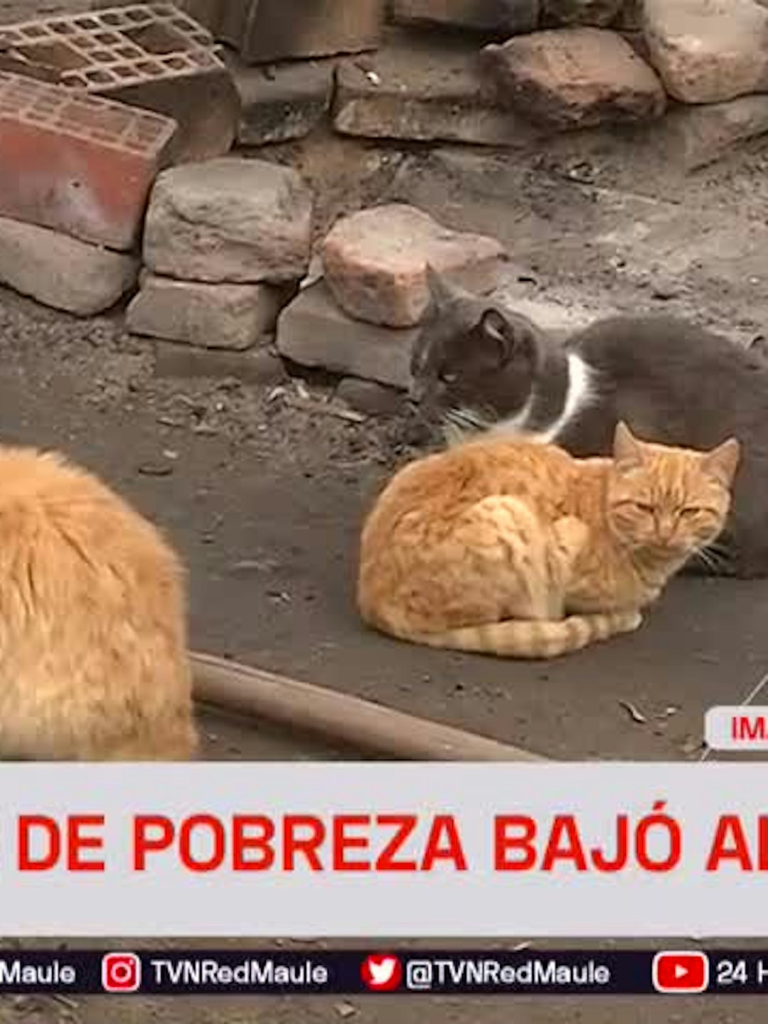 Índice de pobreza bajó a 8,7 por ciento