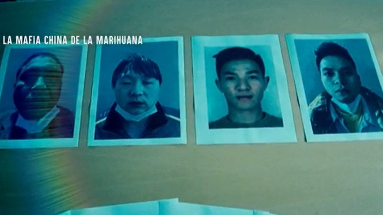Informe Especial: La mafia China de la marihuana