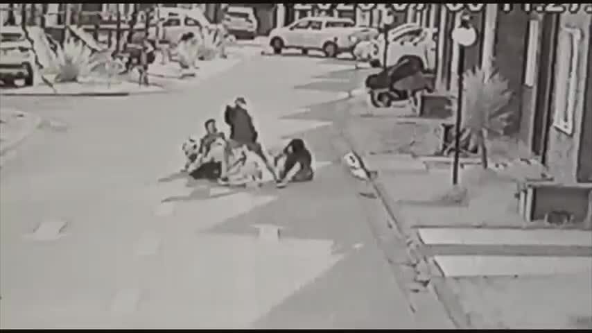 Comunidad preocupada por ataque de perros pitbull
