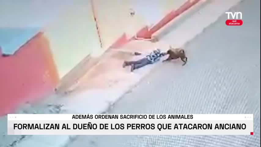 Formalizan a dueño de perros que atacaron anciano