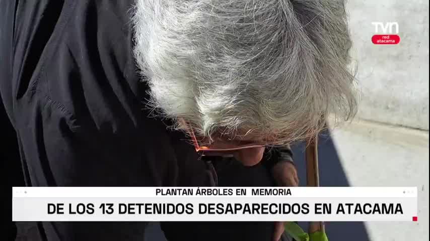 50 AÑOS