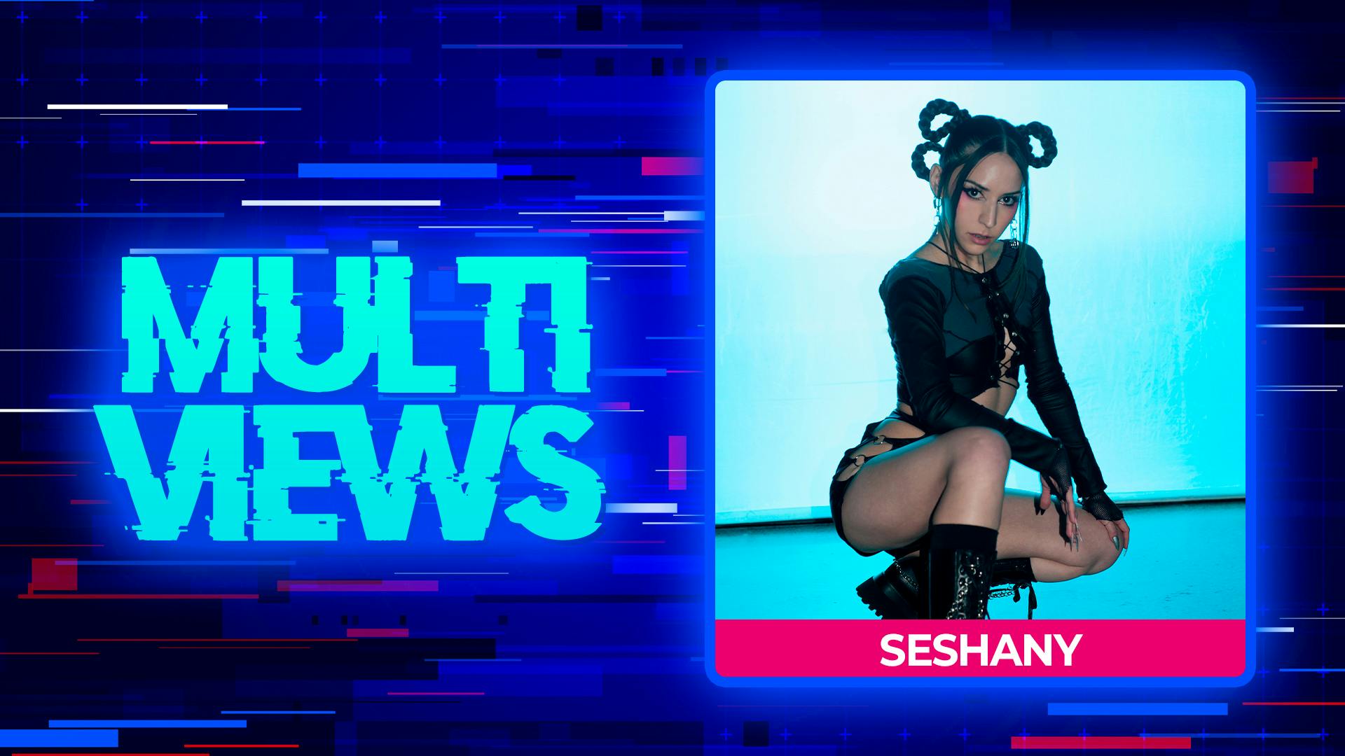 MultiViews: Seshany