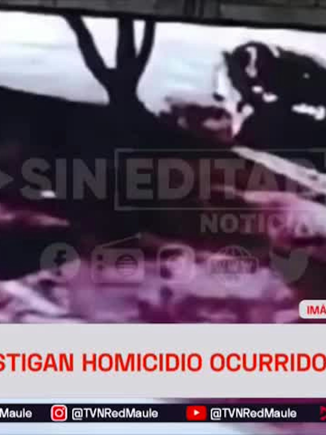En Talca investigan homicidio ocurrido por balacera