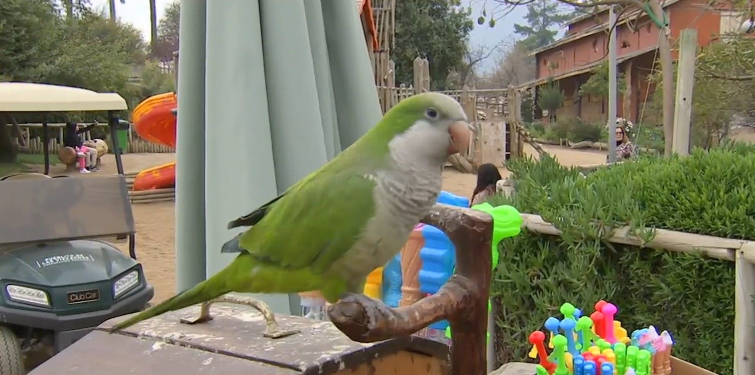 Entretenidas actividades en el Pueblito de Las Vizcachas