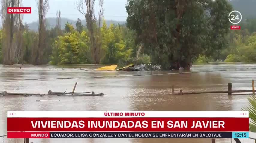 Predio quedó completamente inundado tras desborde del río Purapel en San Javier