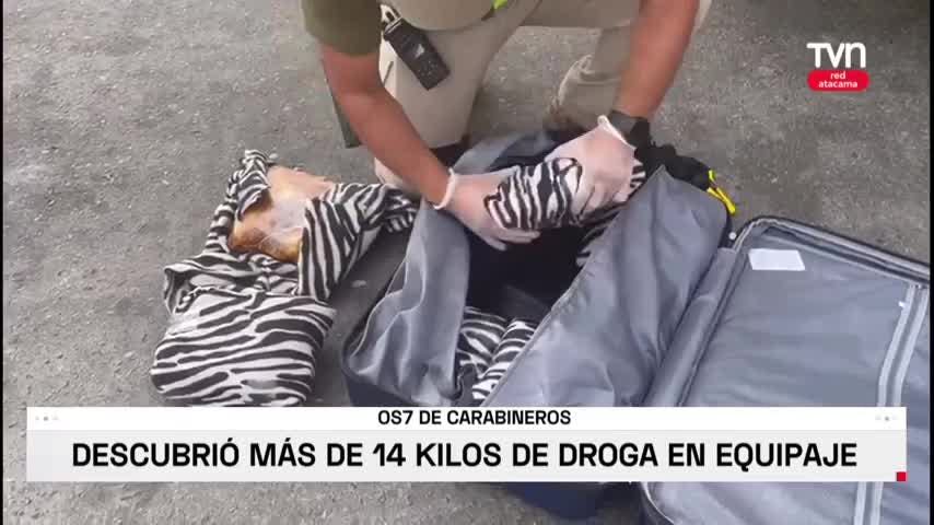 Sacan de circulación más de 14 kilos de droga