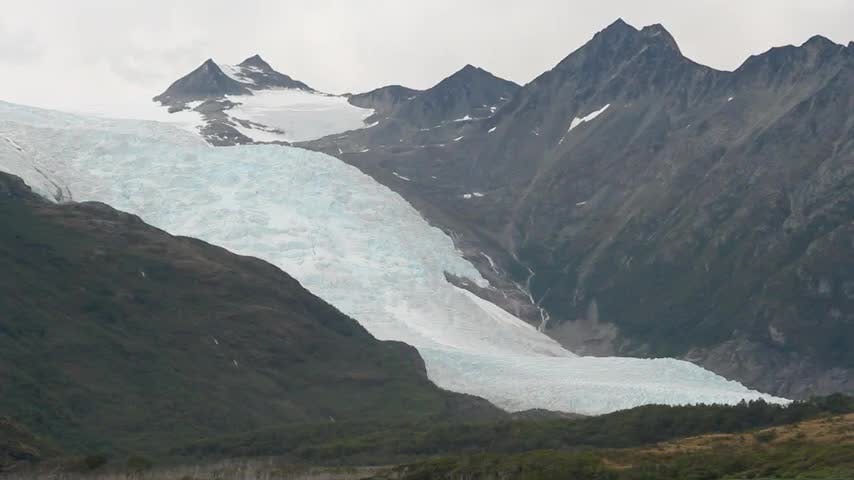 Selva Viva Patagonia en NTV: La ruta al Cabo de Hornos y hermosos elefantes marinos