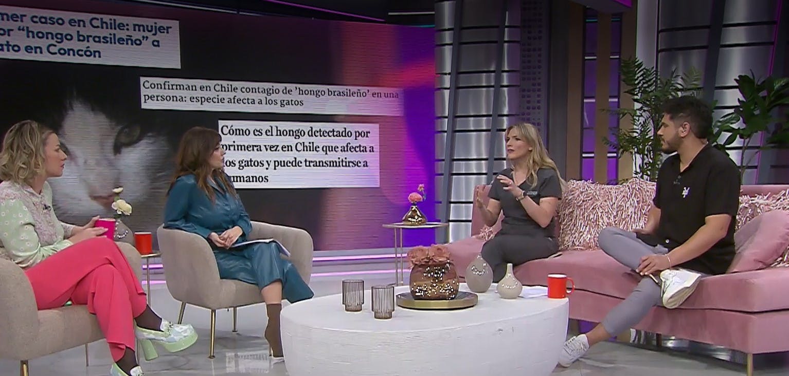 Hoy se habla - Martes 29 de agosto 2023