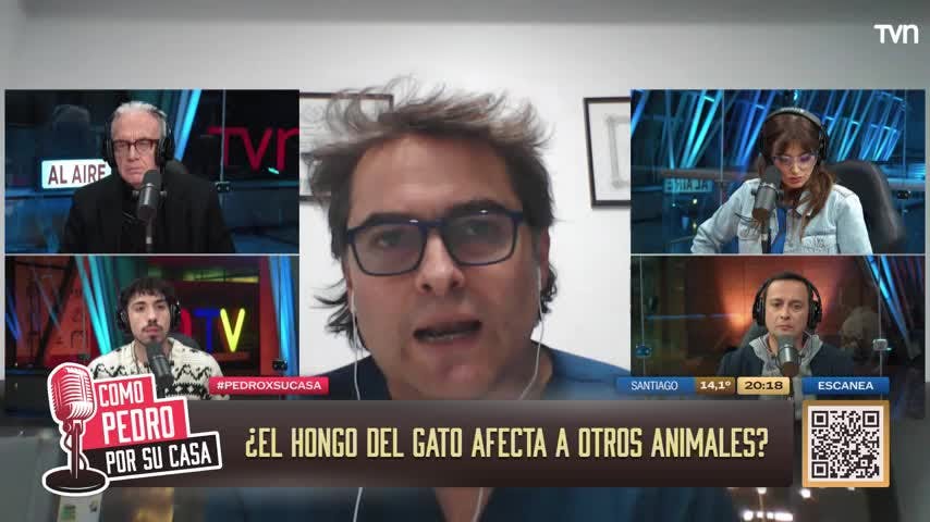 Sebastián Lindorfo nos cuenta detalles del hongo brasileño contagiado por gatos