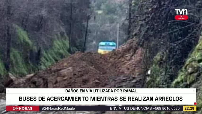Buses de acercamiento para usuarios del ramal