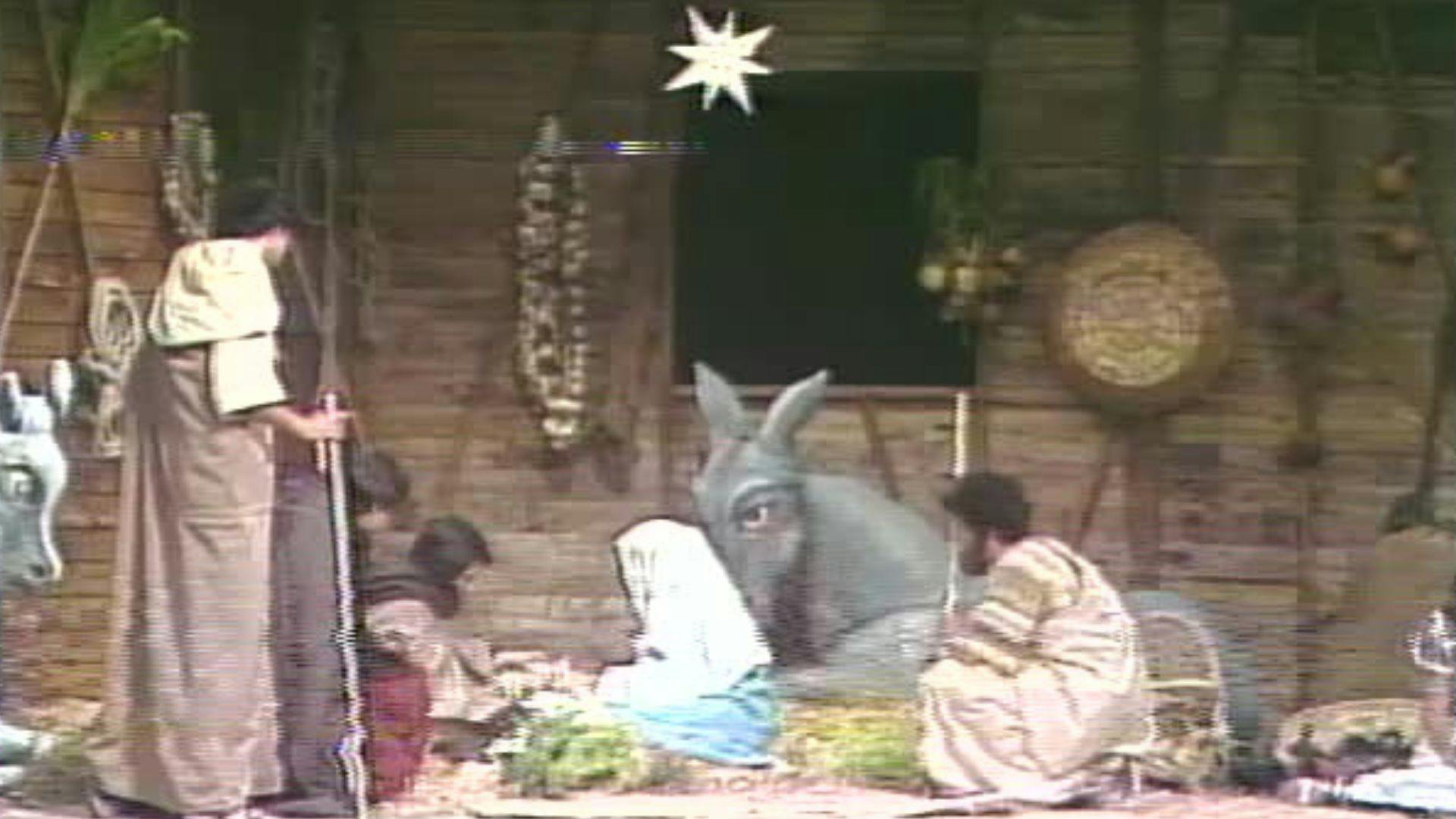 Especial de Navidad | El rincón del Conejo TV
