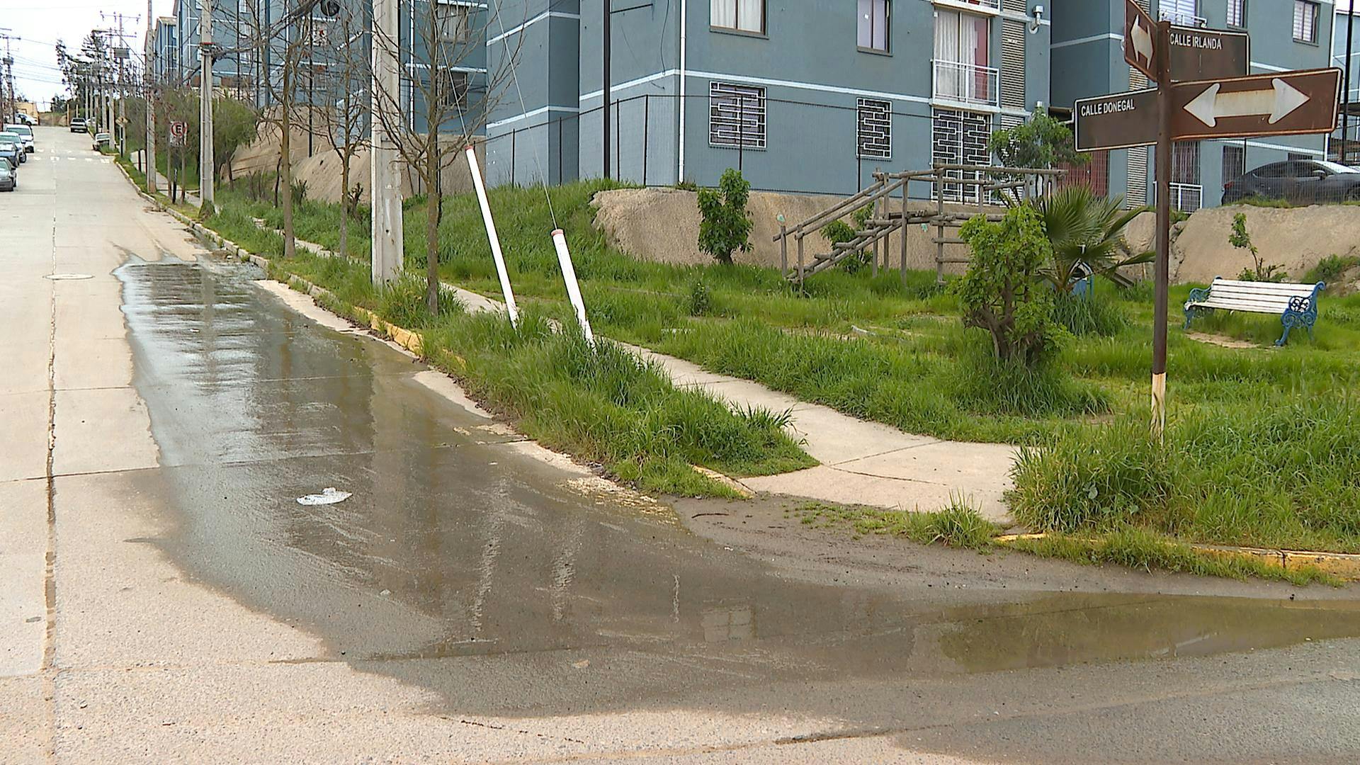 Vecinos placillanos acusan negligencia de constructora ante creciente humedad en sus hogares