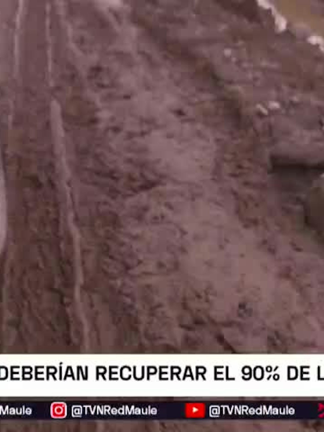 Entregan Bonos de Reactivación Productiva en Licantén y Curepto