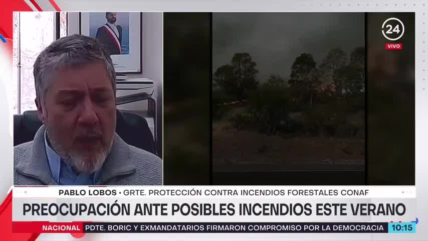 Conaf e incendios de verano: Puede ser tan complejo como el año pasado