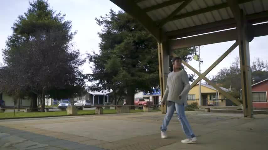 Paseando por Capítulo 13: Puqueldón