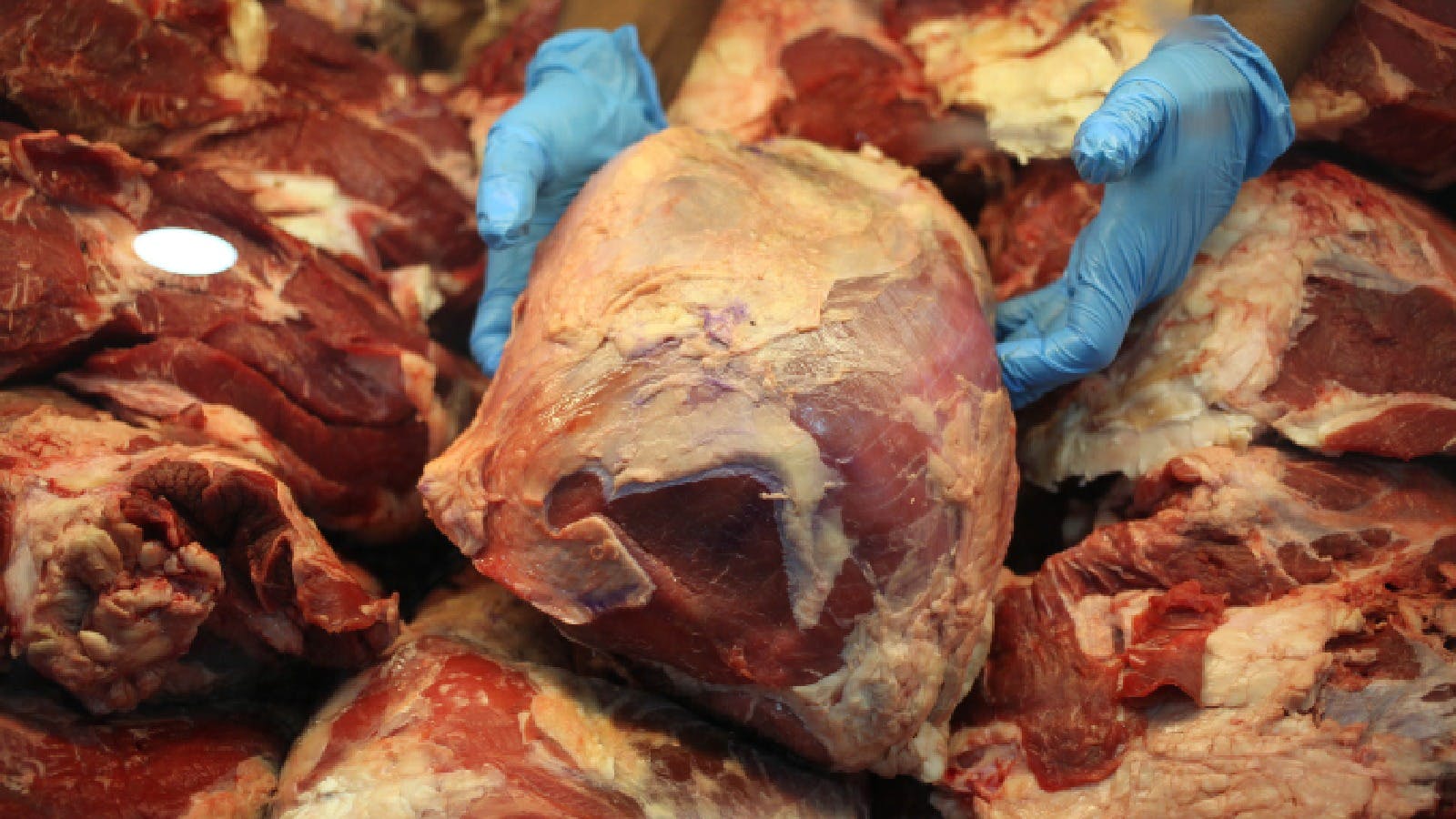 Seremi de Salud RM y celebraciones de Fiestas Patrias: Nunca compre carne a temperatura ambiente