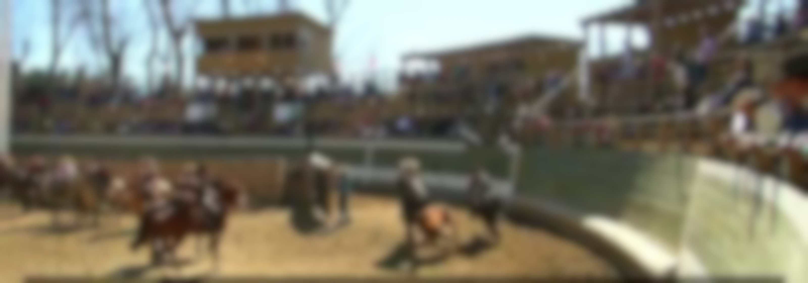 Buscan prohibir el uso de animales en el rodeo