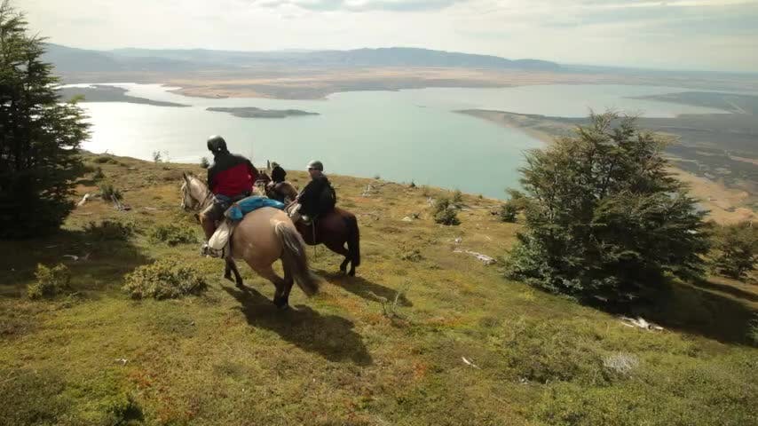 Selva Viva Patagonia en NTV: El encuentro con el imponente cóndor