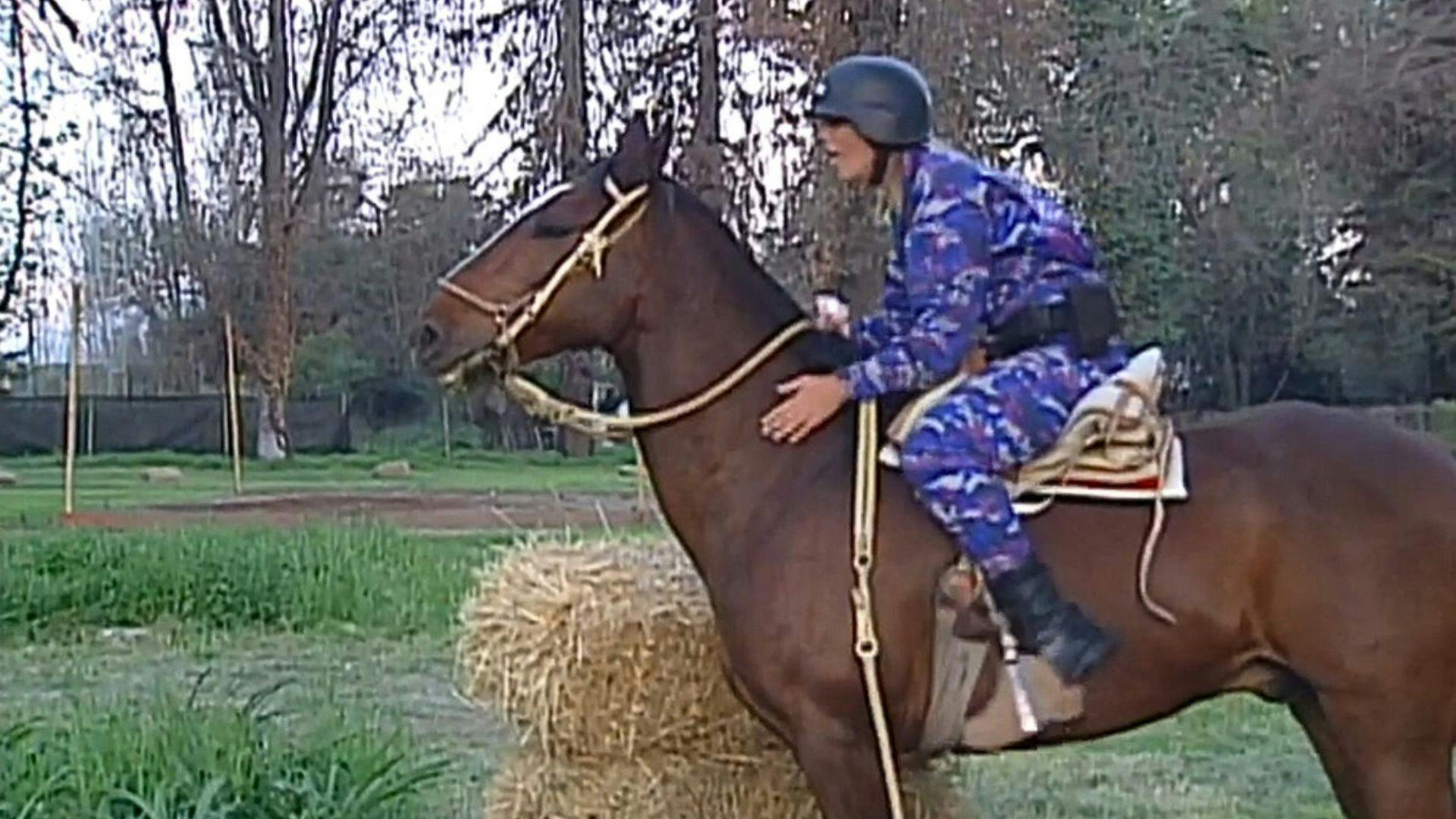Competencia a caballo | Pelotón - T3E83