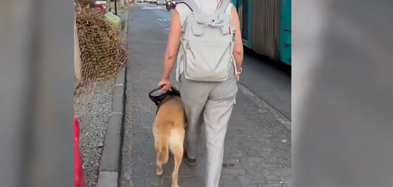 Mujer con discapacidad visual acusa que intentaron negarle el subir a vuelo con su perro guía