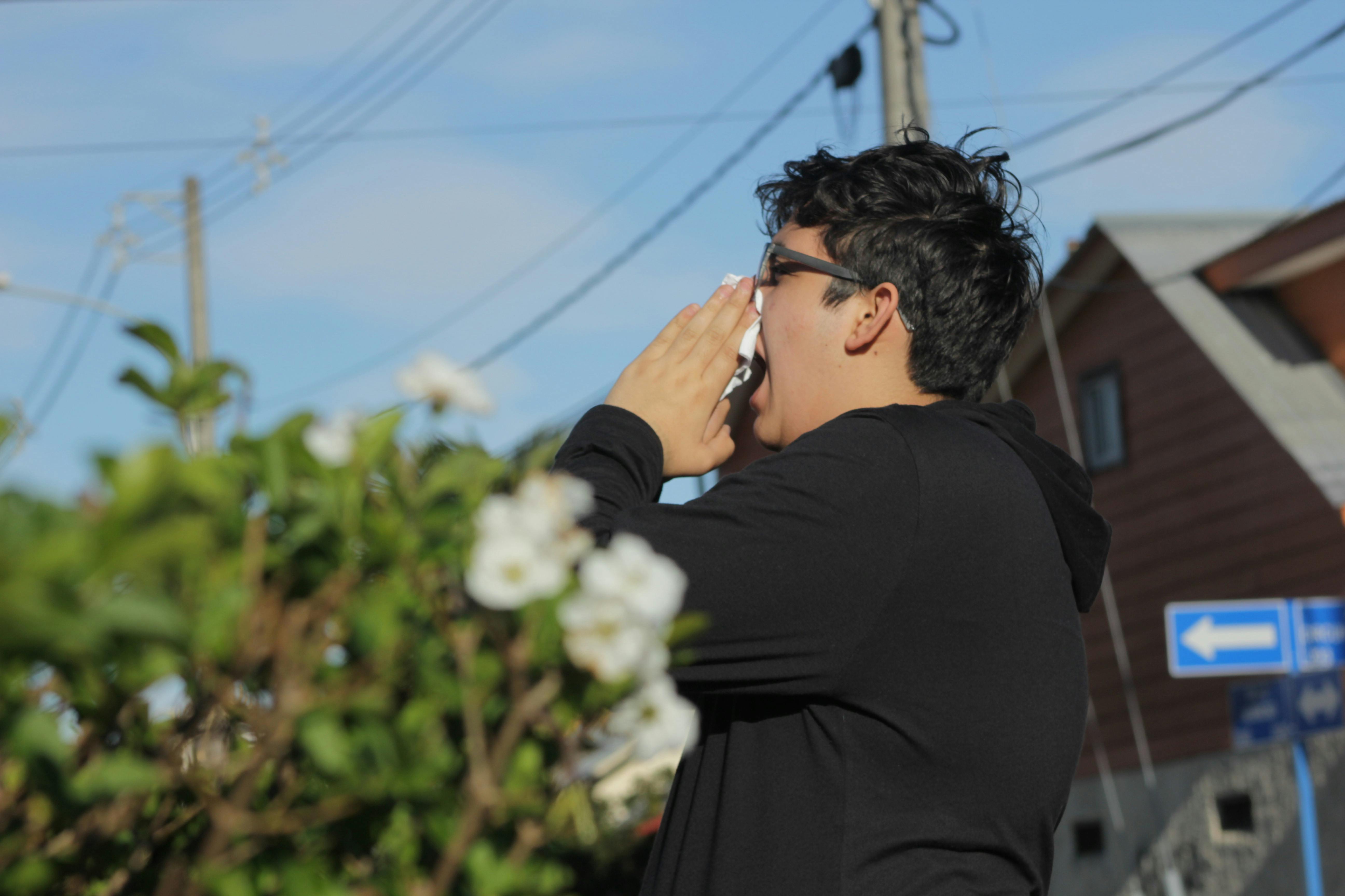 ¿Cómo prevenir alergias primaverales?: experto da consejos