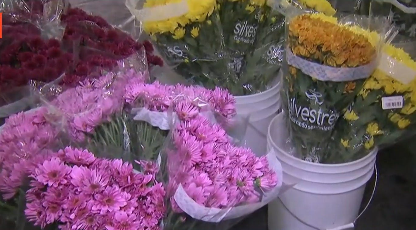Lo lindo de la estación: ¡Llega la primavera y muchas más flores!