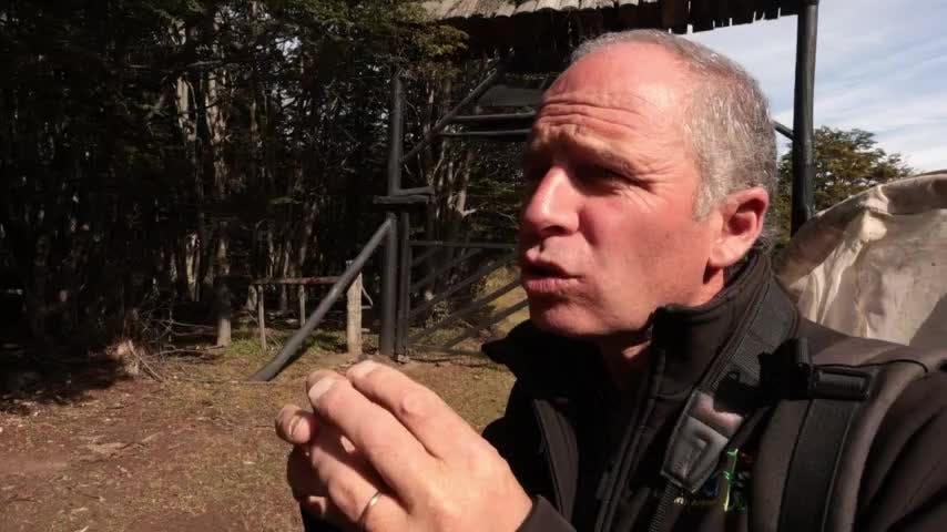 Selva Viva Patagonia en NTV: La magia de Puerto Williams