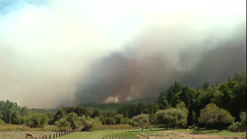 Afectados por incendios regularizaron títulos