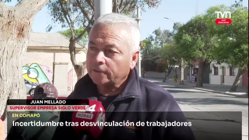MANTENCIÓN DE ÁREAS VERDES