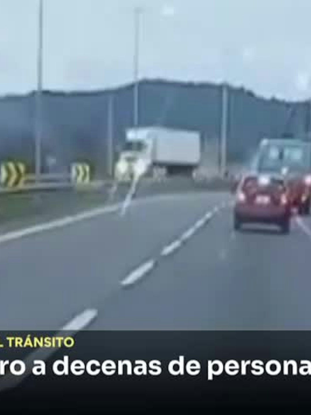 Conductor avanzó contra el tránsito por más de 50 kilómetros